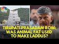 Andhra CM Chandrababu Naidu Claims Animal Fat Was Used To Make Famous Tirupati Laddu | N18V