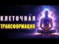 Мощная Медитация Исцеляющий Код Тела | Восстановление Клеточной Структуры Тела