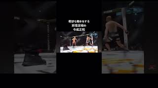 鈴木千裕vs今成正和 #rizin #mma #鈴木千裕 #今成正和