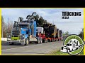 New Zealand Trucks | Out and About Ep. 30 | Truck Spotting