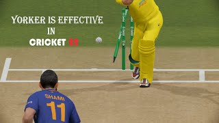 Cricket 22 - when you target Yorker