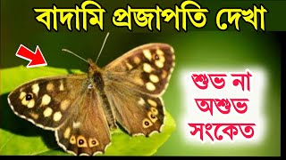 বাদামী প্রজাপতি | বাদামী প্রজাপতি দেখলে কি হয় | Sign of Brown Butterfly #holyfirereiki #totka