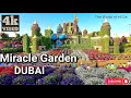 Miracle Garden | Tourist attraction in Dubai | The world's largest natural flower garden [4K]