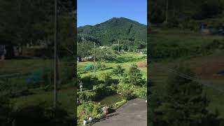 里山風景6月　2021