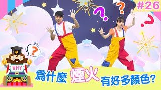 【謎謎國王為什麼】為什麼煙火有好多顏色?｜YOYO點點名 ｜2023.11.27