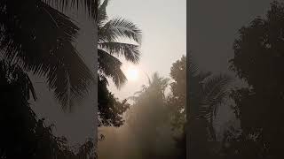 Morning view 🌞 @creativeworld...4485 #morning #foggy #village #view #subscribe #ytshorts