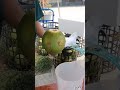 cutting coconut street vendors #short #shortsviral #fruit