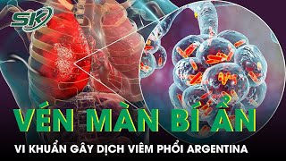 Phát Hiện Vi Khuẩn Gây Dịch Viêm Phổi Bí Ẩn Ủ Bệnh Tới 16 Ngày Ở Argentina | SKĐS