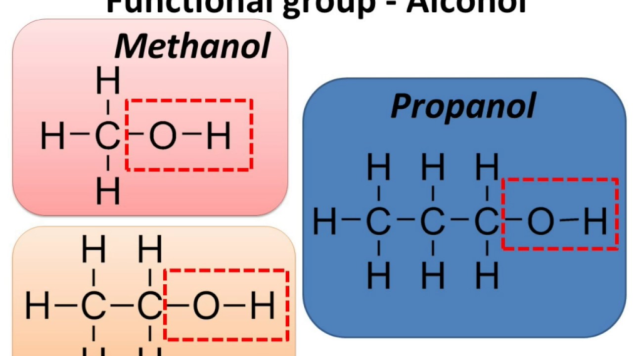 Hydroxyl Group Examples Anomers Biochemistry Flashcards Draw It To