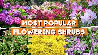10 Most Popular Flowering Shrubs That Perfect in Any Garden 🌳🌲💚