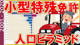 【旧版】 小型特殊免許の人口ピラミッド(2001-2020) / 性別・年齢階級別にみた小型特殊免許現在数・交付件数