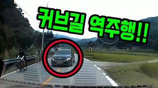 12595회. 자전거를 추월하려고 커브길에서 역주행한 차와 쾅!!