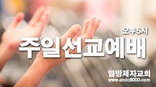 [LIVE]휴전선 통일기도회 /초청강사:장경동 목사/선교계좌 9002-1980-89559 새마을/참석문의 02.2231.5115