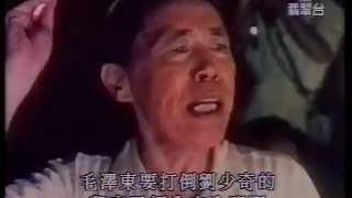 1996 文革三十年 #2: 造反有理