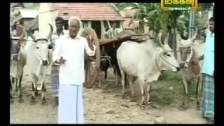 DR Kasi Pichai on Cattle.Re uploaded by umbalacherry Thangam Farms Koravankollai.