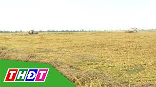 Lối thoát nào cho điệp khúc Trúng mùa, mất giá? | THDT