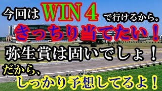 弥生賞・ＷＩＮ５予想！軸馬穴馬探しに活用して！WIN５　2018 3 4