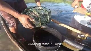 Crab cages catch swimming crabs, and it doesn’t feel too good to just explode the cages. Look at ...