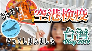 【2019台灣Vlog】空港検疫で没収される？/台湾土産/税関申告書/肉鬆ロウソン