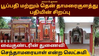 பூப்பதி மற்றும் தென்தாமரைகுளத்து பதியின் சிறப்பு | Chaanaan | சாணான் | Ayyavazhi