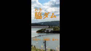 ダム用語辞典「脇ダム」 #Shorts