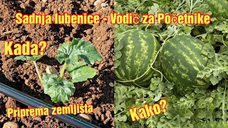 Sadnja Lubenice/Karpuze - priprema zemljista, vrijeme i sadnja