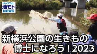 新横浜公園の生きもの博士になろう！2023【地モトNEWS】2023/10/14放送