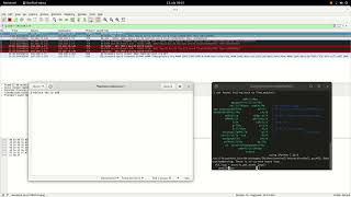 Send a simple TCP packet with a message using Scapy
