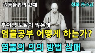 부처님의 이름이 많은데 염불공부 어떻게 하는가 | 염불의 의의와 방법 염불삼매 원통불법의 요체 | 청화스님 법문