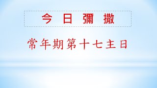 2022/07/24 (日)  常年期第十七主日 網路直播