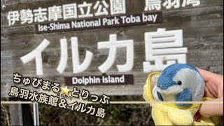 【4K 鳥羽水族館\u0026イルカ島】鳥羽へ日帰り旅行・伊勢志摩ライナーと観光列車特急『しまかぜ』に乗車し旅行気分を満喫！