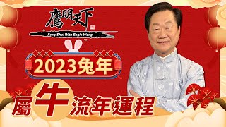 肖牛 2023兔年全年運程 | 事業 愛情 健康 財運 每月運程 | 《鷹明天下2023》