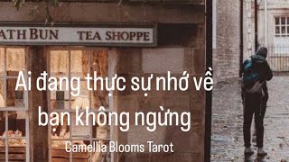 Ko chọn tụ - ai đang nhớ bạn không ngừng (1 người bạn có thể đã từng trông đợi)