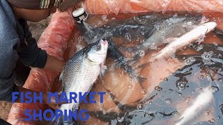 Daltonganj Fish Market shopping