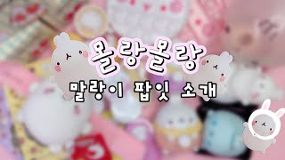 [ 몰랑이 ◍•ㅅ•◍ 말랑이 팝잇 소개 ] 몰랑몰랑한 몰랑이 모음👻 | 가격도 알아보기⭐️ | 말랑이랑 | molang