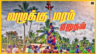 வழுக்கு மரம் ஏறுதல் | Pattikulathan | Pongal Celebration #pattikulathan