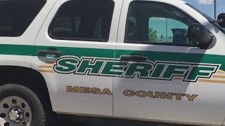 Pandemic Crime Rates in Mesa County, Grand Junction