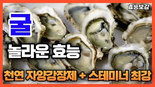 굴의 놀라운 효능