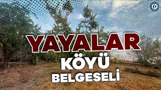 YAYALAR KÖYÜ BELGESELİ