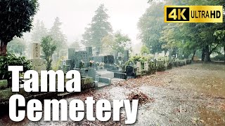 雨の多摩霊園 Rainy Tama Cemetery【Tokyo Backstreet Walk】 (4K)