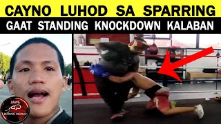 Jasper cayno Lumuhod Sa Sparring, Boy Tapang At Gaat Vlog Nagpakitang Gilas , Standing Knockdown