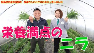 【旬のニラ】Ｊ－ＦＡＰの農家におじゃまします