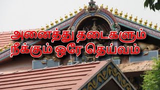 அனைத்து தடைகளும் நீங்கும் ஒரே தெய்வம்  மீன் குளத்தி பகவதி அம்மன் । meenkulathi pagavathi amman