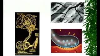 Spasticity Management