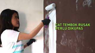 Video Produk VIP Pengupas Cat Tembok