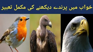 Khwab mein parinda dekhna | khwab mein parindey dekhna | birds Islamic dream interpretation |#khwab