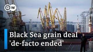 Russia halts grain deal, putting global food security at risk | DW News