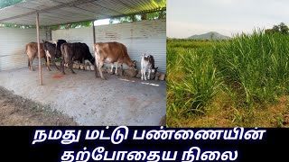 புதிய மாட்டு பண்ணையின் தற்போதையநிலை 🐄🐄🐄   #மாடுவளர்ப்பு  #மாடுவிற்பனை  #மாட்டுபண்ணை