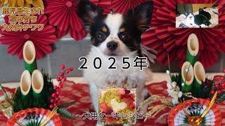 今年もよろしくお願いいたします～犬用ケーキレシピ～ #犬と猫