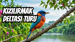 Walking Tour | Kızılırmak Delta and Bird Sanctuary | TURKEY 4K